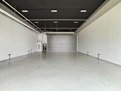 REVV (D22), Factory #554248341